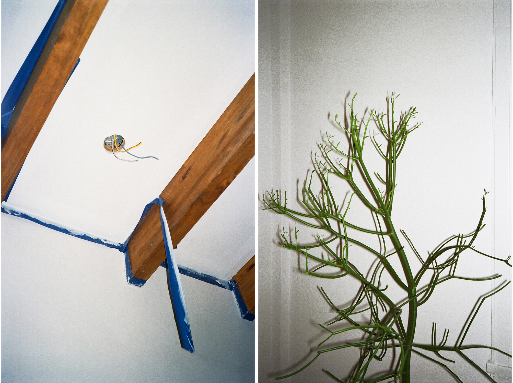 base-para-pares_112053343